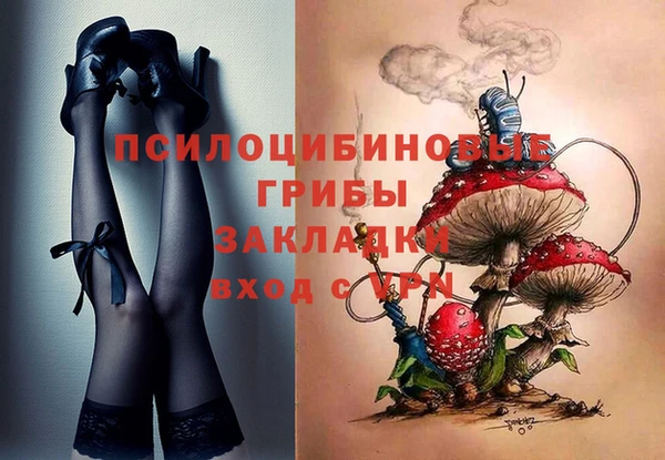 эйфоретик Елизово