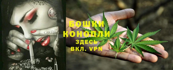 jwh Ельня