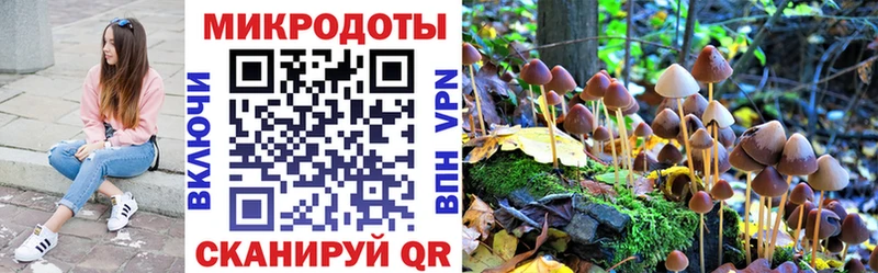 Купить  Зеленогорск  Галлюциногенные грибы прущие грибы 