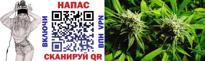Купить  Зеленогорск  МАРИХУАНА Bruce Banner 